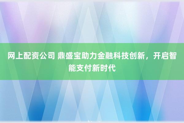 网上配资公司 鼎盛宝助力金融科技创新，开启智能支付新时代