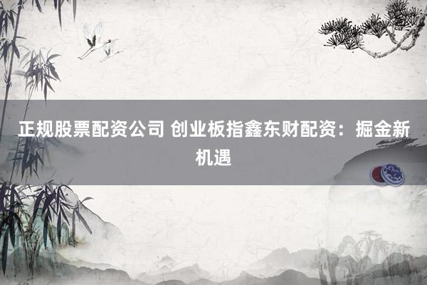 正规股票配资公司 创业板指鑫东财配资：掘金新机遇