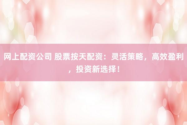 网上配资公司 股票按天配资：灵活策略，高效盈利，投资新选择！