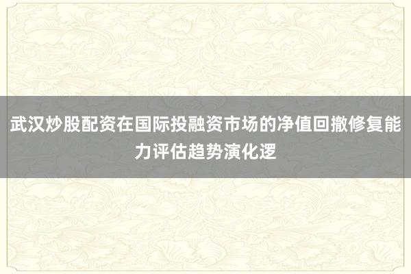武汉炒股配资在国际投融资市场的净值回撤修复能力评估趋势演化逻