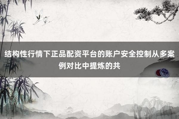 结构性行情下正品配资平台的账户安全控制从多案例对比中提炼的共