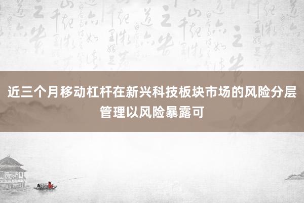 近三个月移动杠杆在新兴科技板块市场的风险分层管理以风险暴露可