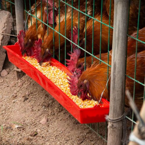 喂鸡的食槽喂食器鸭鹅料槽加厚鸡槽养鸡用饲料家禽养殖设备长槽子 60