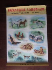 文革宣传画:积极饲养家畜家禽 大力捕捉野生动物(增加畜产品货源,支援出口;二开)